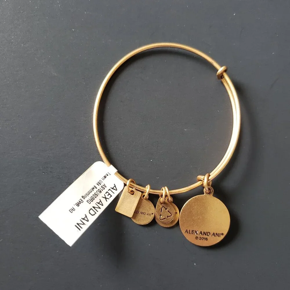 NWT Alex and Ani Team USA Swimming Charm Bracelet 738